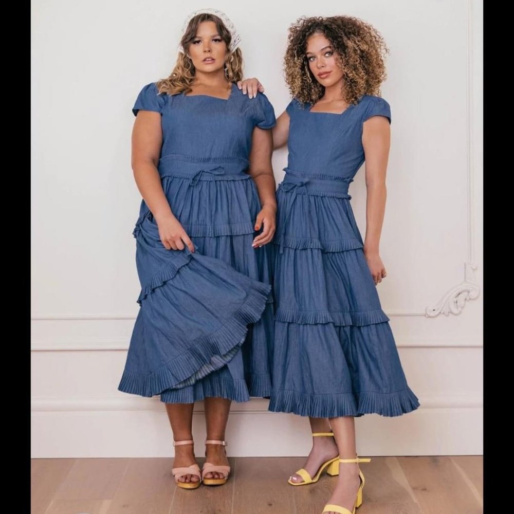 Jessakae Take Flight Dress EUC size 4XL
